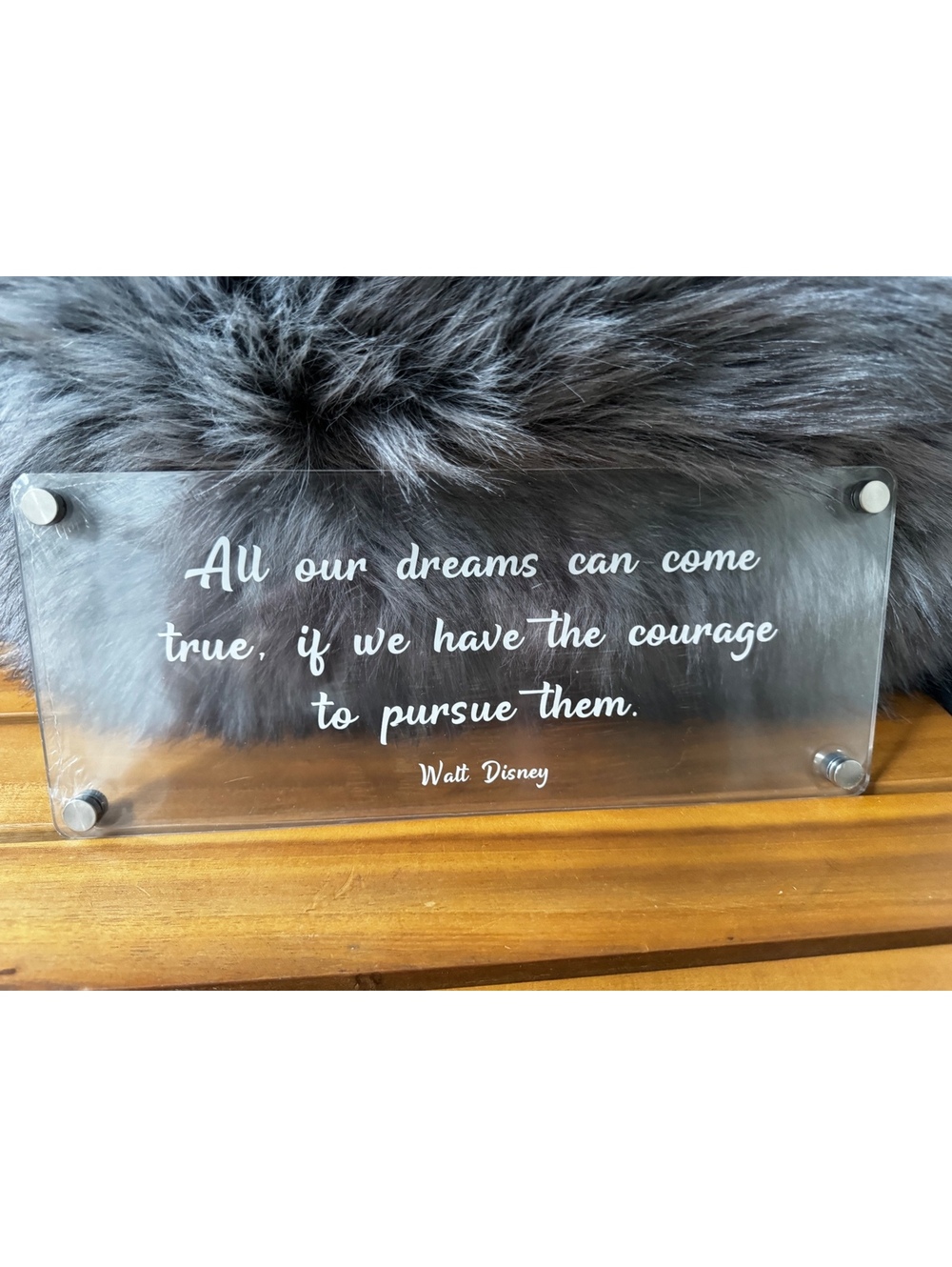 Brand New & Sealed | Clear Acrylic Magnetic Quote Sign – Walt Disney